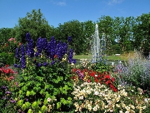 Flowers, fountain, Park