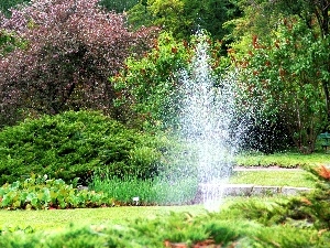 fountain, Pozna?, Garden, botanical