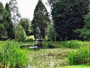 fountain, scrub, Park, Pond - car