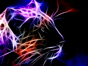 cat, Fractalius, wild