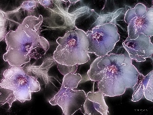 Fractalius, Flowers