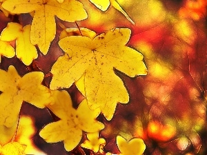 Leaf, Fractalius, Yellow