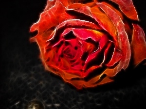 Fraktal, rose