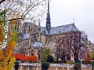 France, Paris, chair, Notre Dame