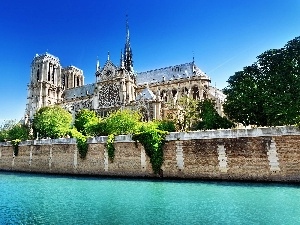 France, Paris, chair, Notre Dame