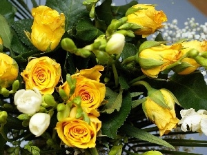 Freesias, White, Yellow, roses
