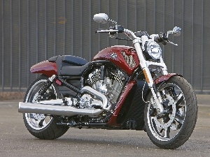 shacks, Front, Harley Davidson V-Rod Muscle