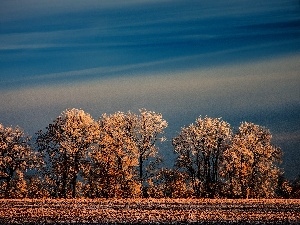 Frost, viewes, Sky, trees