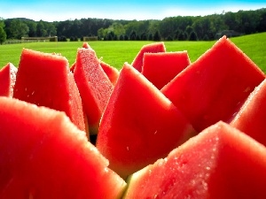 fruit, watermelon