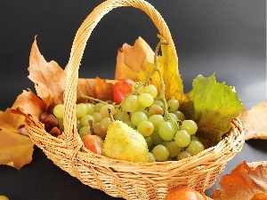 Leaf, Fruits, basket