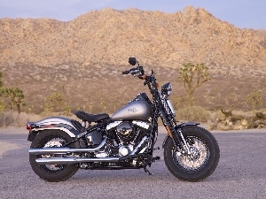 tank, fuels, Harley Davidson Softail Cross Bo