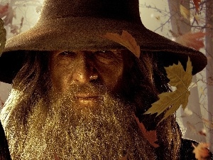 Gandalf, Leaf, Ian McKellen