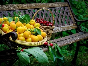 Garden, Baskets, Bench, Fruits