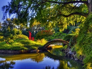 Garden, japanese