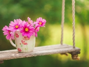 Garden, flowers, Swing, Cup
