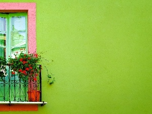 Flowers, geranium, Balcony