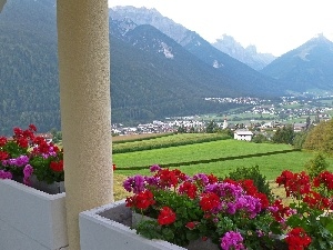 geraniums, View, pillar, Mountains