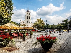 With geraniums, viewes, trees, Vilnius, Flowerpots, Church, Restaurant