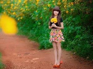 gerberas, Yellow, Women, Garden, bouquet