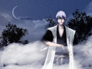 Gin Ichimaru, Night, bleach