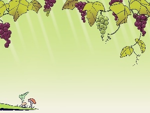 girl, Grapes, Kimi ni Todoke, Green