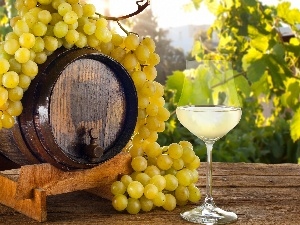 glass, barrel, spray, composition, grapes