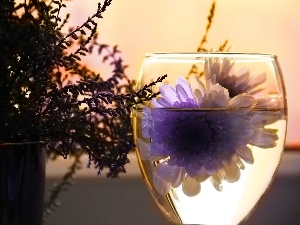 Flowers, glass, heather