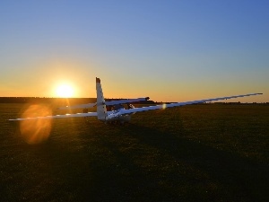 glider, grass