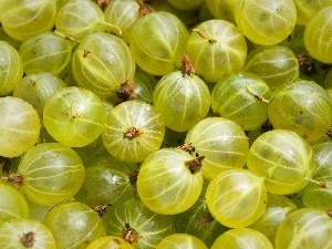 gooseberry, Fruits