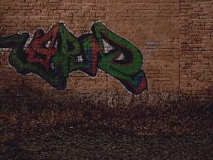 Graffiti, wall, Kedzierzyn Kozle