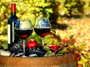 apples, grapes, Wine