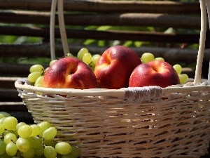 Grapes, nectarines, basket, wicker