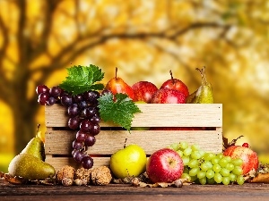 Grapes, truck concrete mixer, box, apples