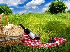 Grapes, Wine, grass, picnic, basket