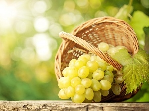 spray, grapes, basket