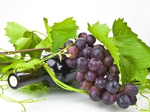 Wines, Grapes, Bottle