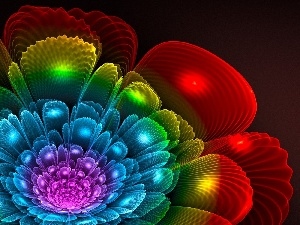 graphics, Fraktal, color, Colourfull Flowers