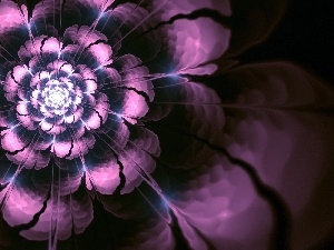 graphics, abstraction, Violet, Colourfull Flowers