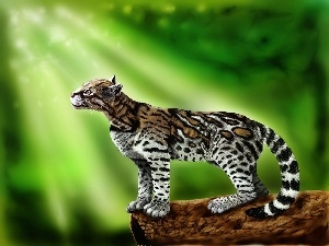 graphics, light, ocelot, rays