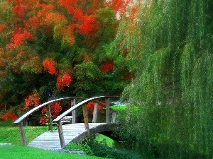 graphics, bridges, Park, Willow