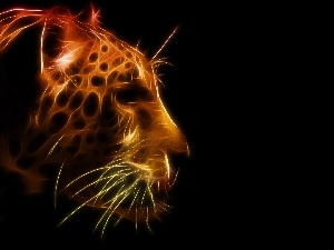 spots, graphics, Leopards