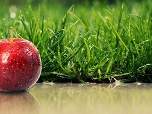 grass, Apple