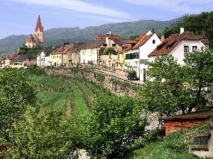 grass, trees, viewes, Church, Austria, Houses