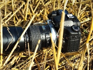 grass, Eos 40D, Camera, Canon