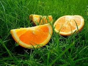 grass, Green, cuts, orange