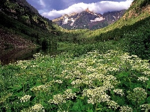 grass, flourishing, Mountains, lake, Valley