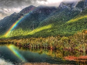 grass, Great Rainbows, lake, Mountains