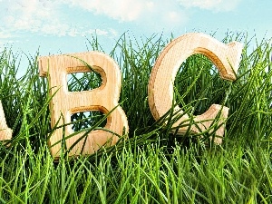 grass, letters