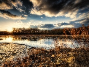 River, grass, clouds