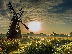 sun, grass, Windmill